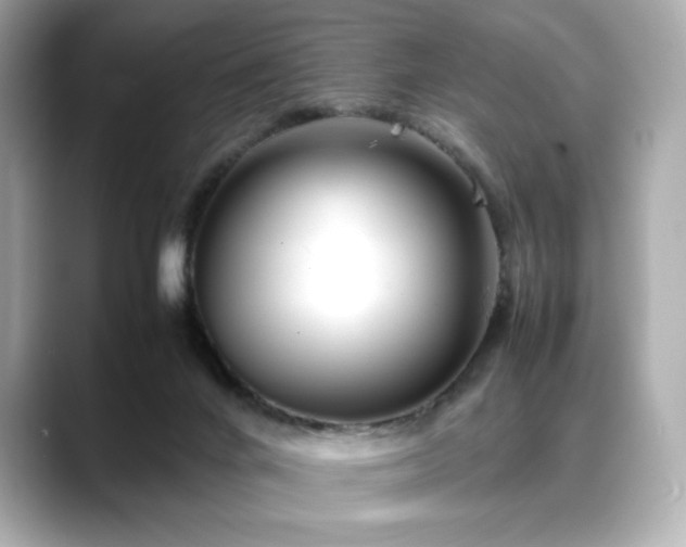 X0000088700024200705311223