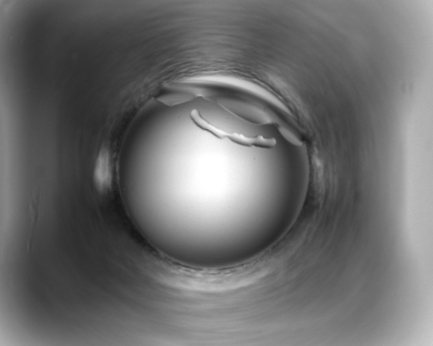 X0000088700026200705311223