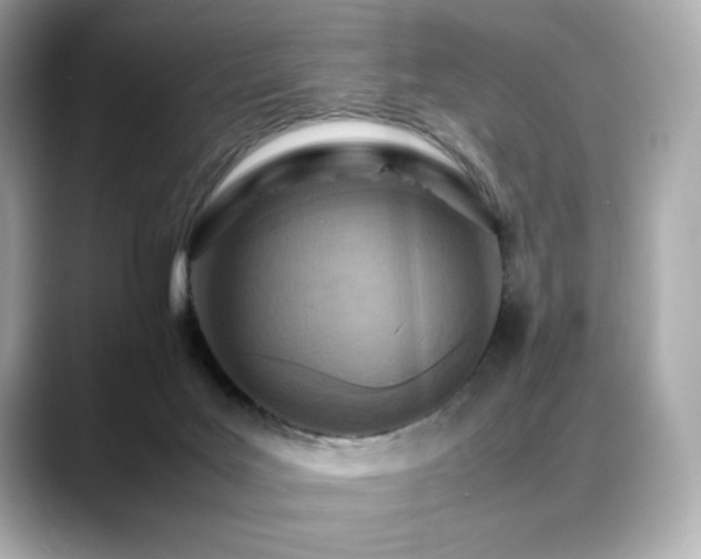X0000088700027200705311223