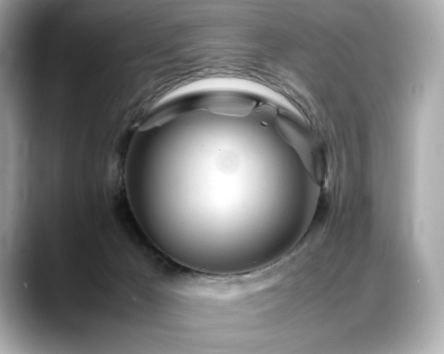 X0000088700029200705311223