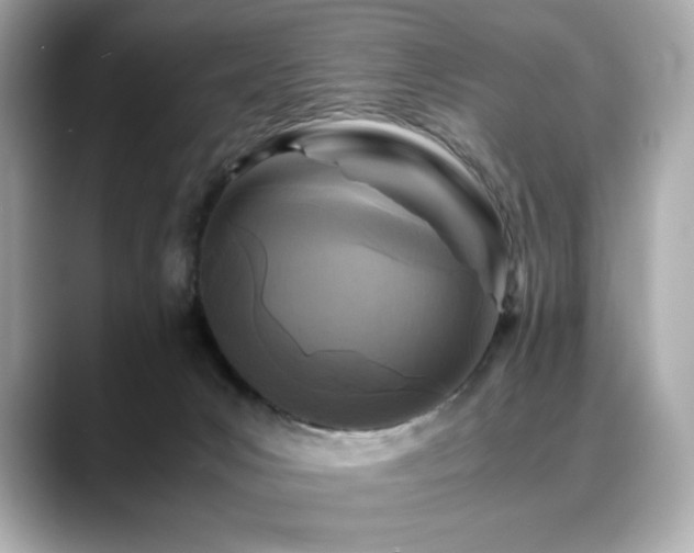 X0000088700031200705311223