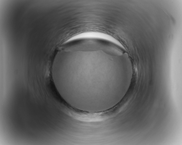X0000088700032200705311223