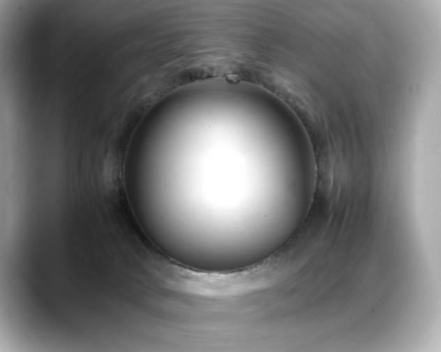 X0000088700034200705311223