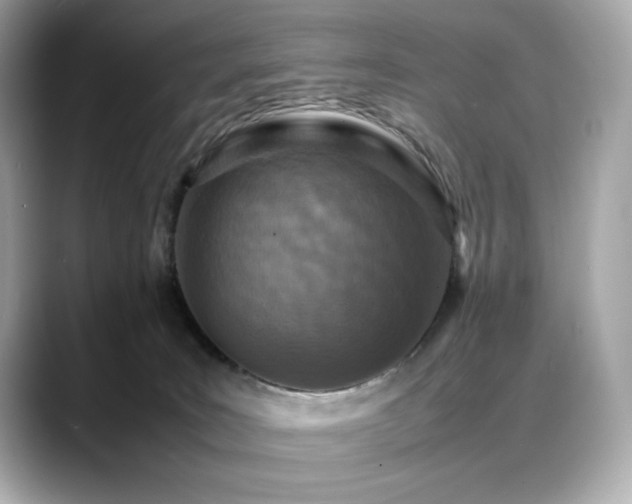 X0000088700035200705311223