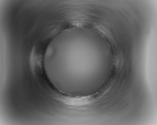 X0000088700036200705311223