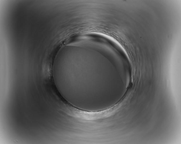 X0000088700039200705311223