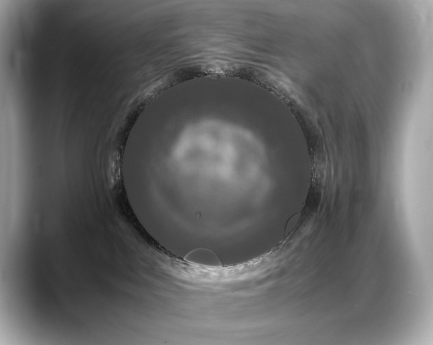 X0000088700043200705311223