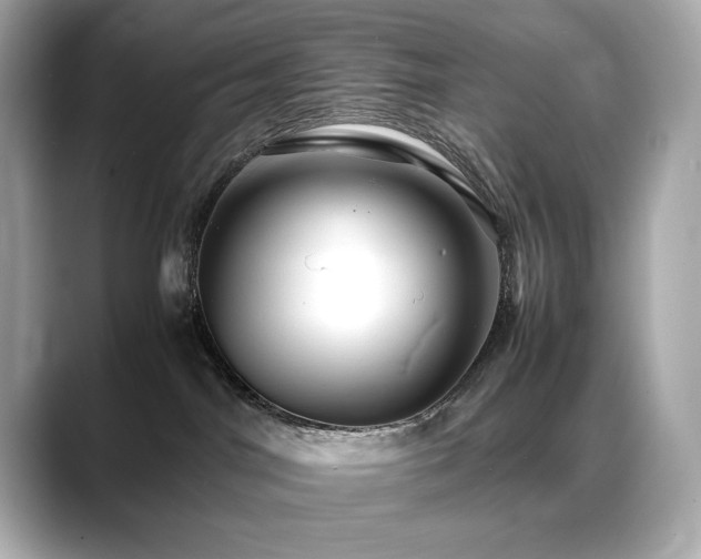 X0000088700044200705311223