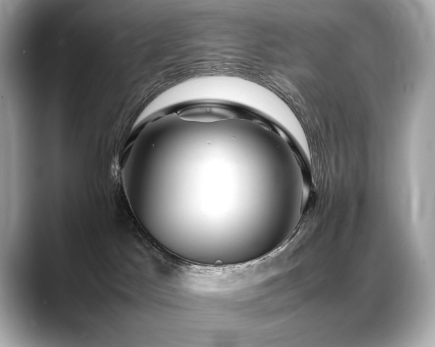 X0000088700045200705311223