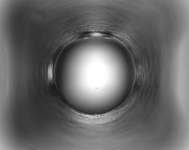 X0000088700046200705311223