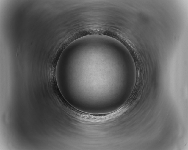 X0000088700048200705311223