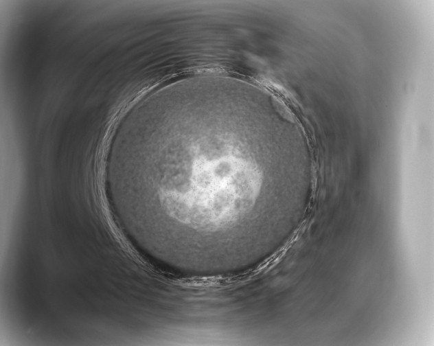 X0000088700049200705311222