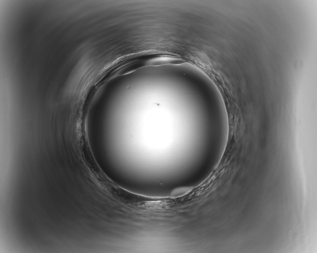 X0000088700050200705311222