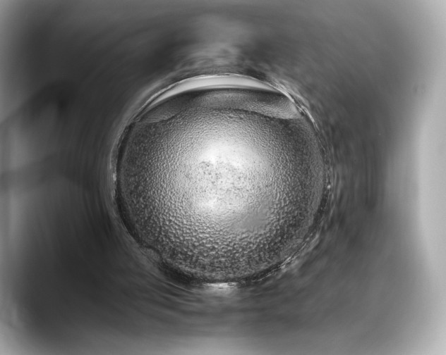 X0000088700053200705311222