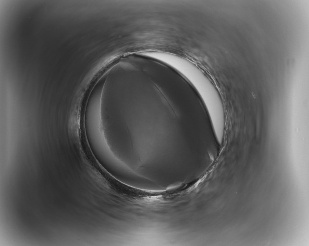 X0000088700054200705311222
