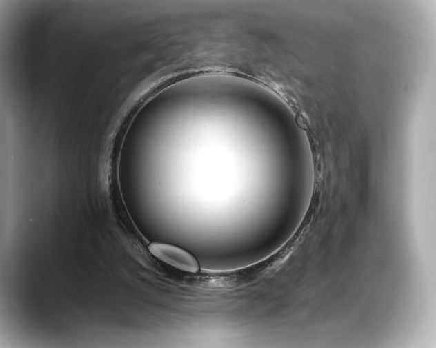 X0000088700056200705311222