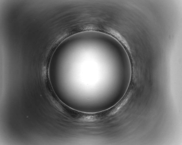 X0000088700057200705311222