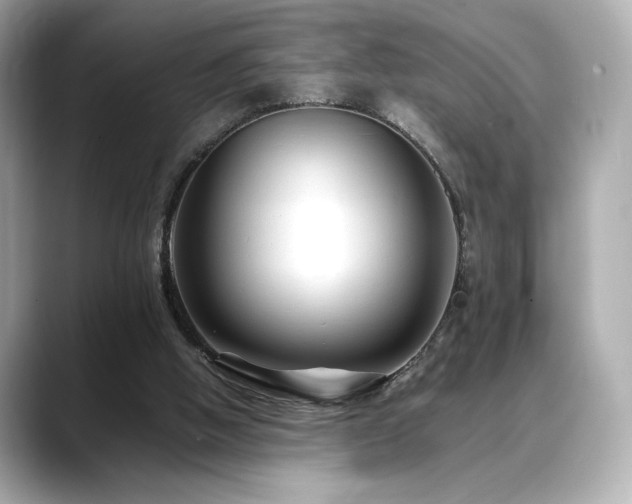 X0000088700058200705311222