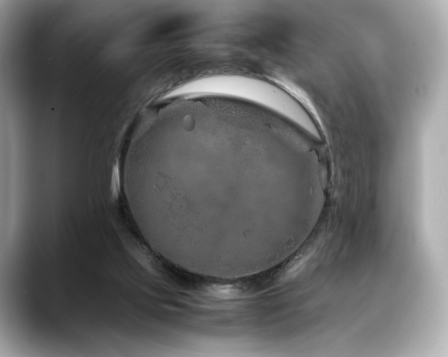 X0000088700061200705311222