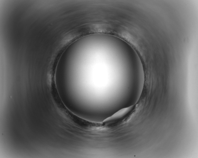X0000088700063200705311222