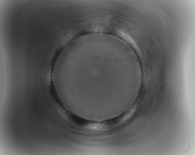 X0000088700065200705311222
