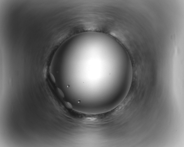 X0000088700066200705311222