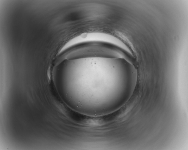 X0000088700069200705311222