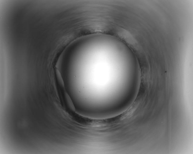 X0000088700070200705311222