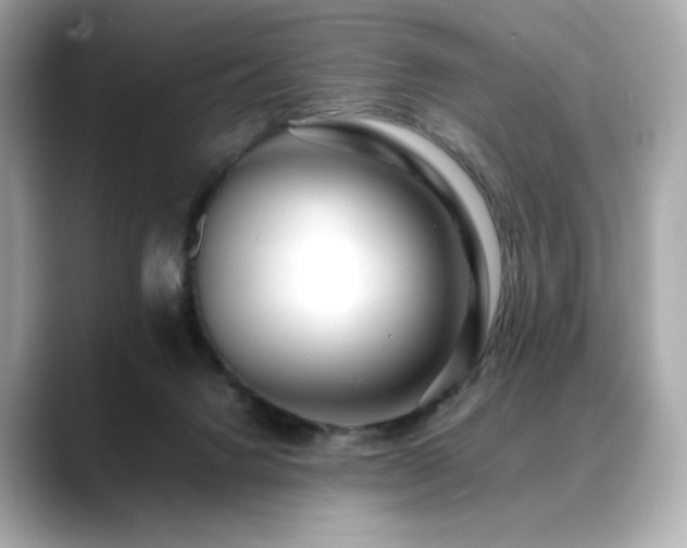 X0000088700072200705311222