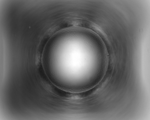 X0000088700073200705311222