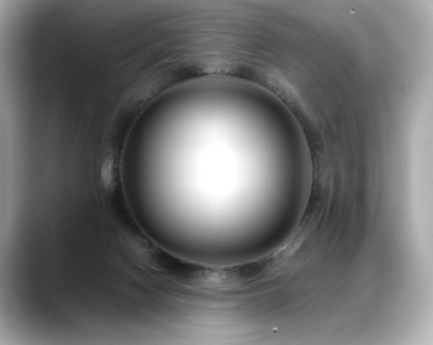 X0000088700074200705311222