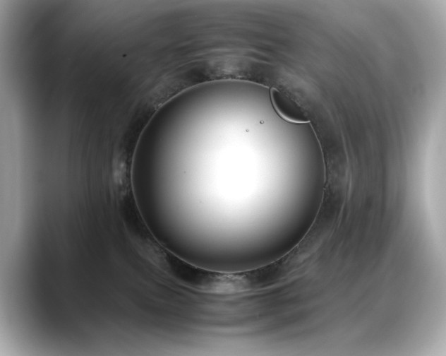 X0000088700087200705311223