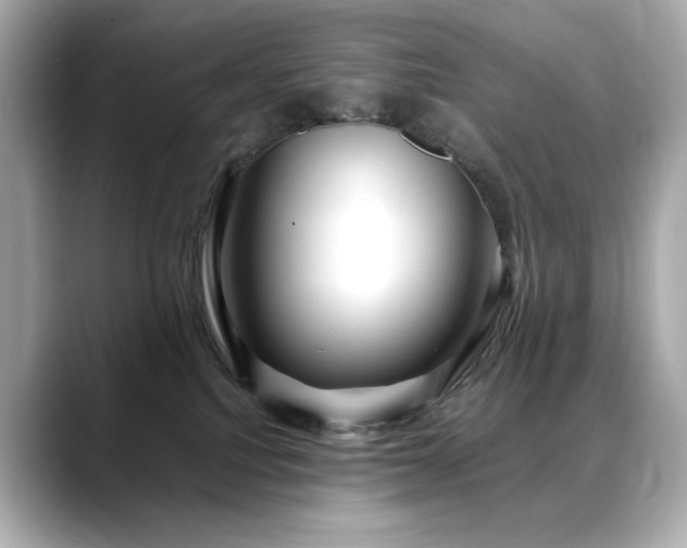 X0000088700088200705311223