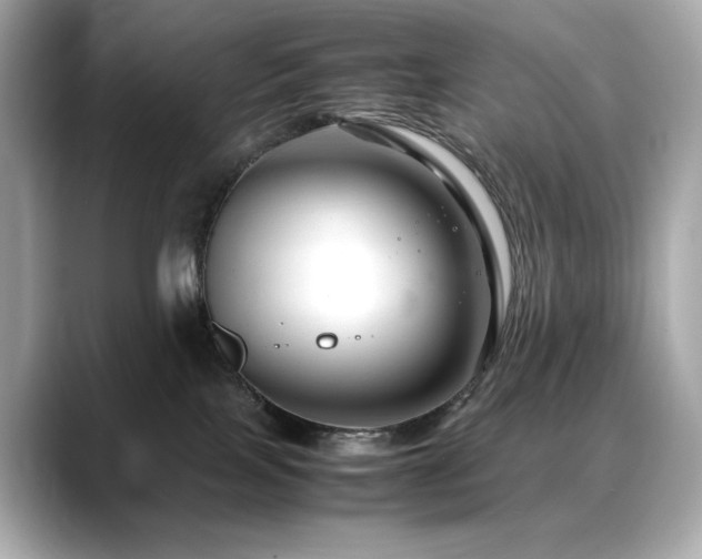 X0000088700089200705311223