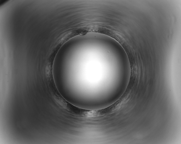 X0000088700092200705311223