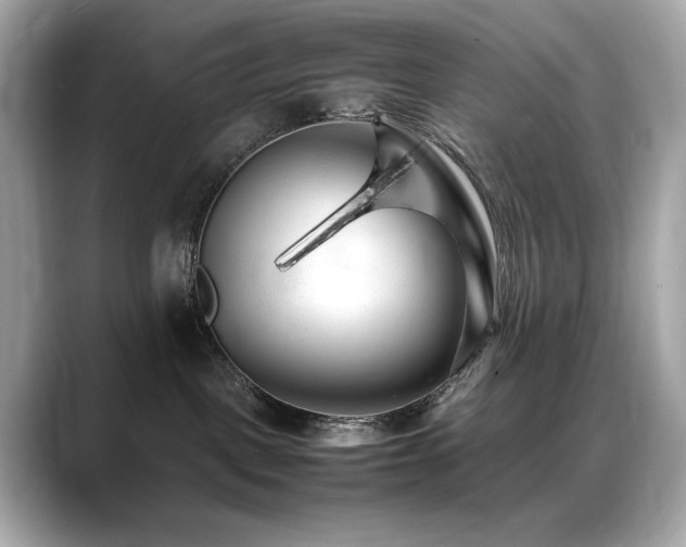 X0000088700093200705311223