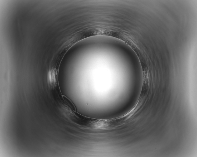 X0000088700094200705311223