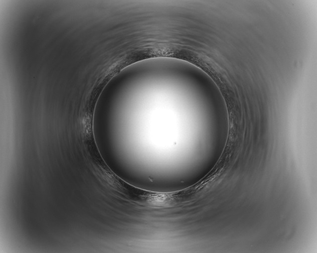 X0000088700096200705311223