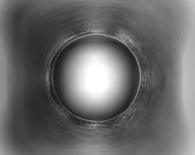 X0000088700098200705311222