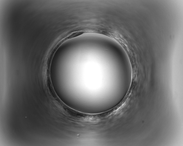 X0000088700101200705311222