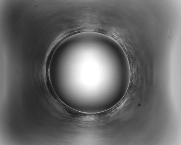 X0000088700102200705311222