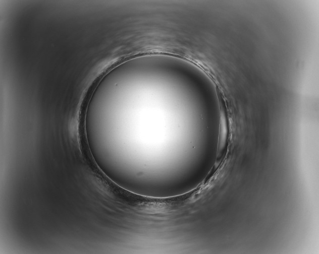 X0000088700104200705311222