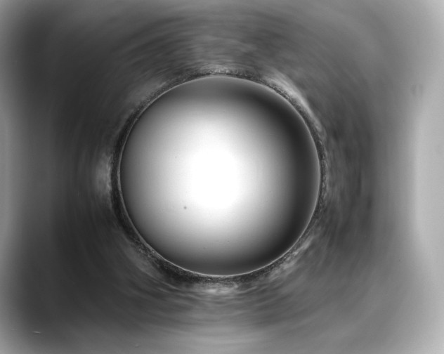 X0000088700106200705311222
