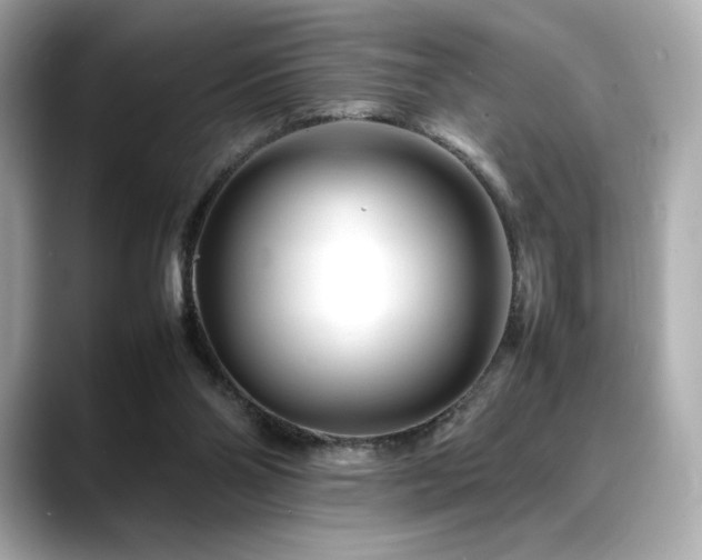 X0000088700110200705311222