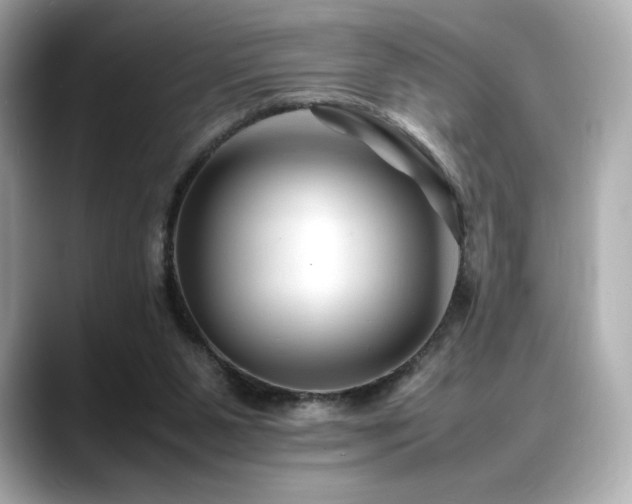 X0000088700111200705311222