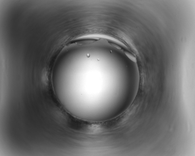 X0000088700114200705311222