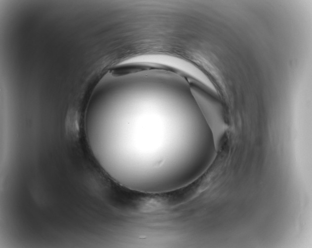 X0000088700115200705311222