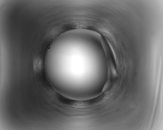 X0000088700123200705311222