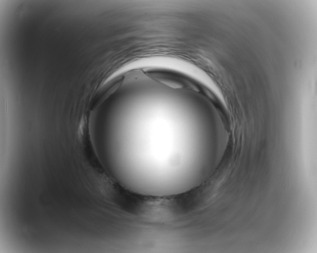 X0000088700125200705311222