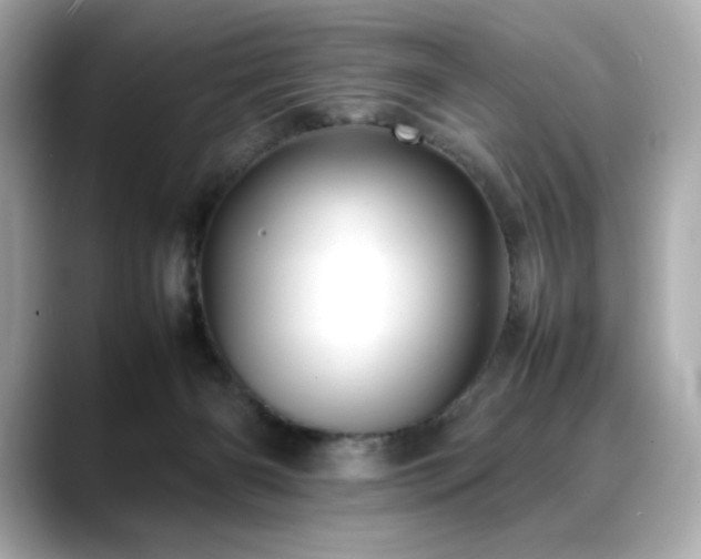 X0000088700126200705311222